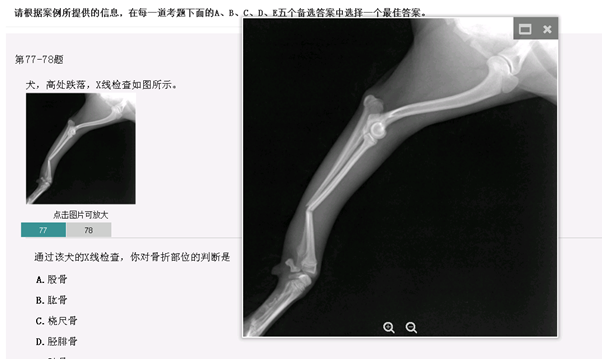 计算机考试操作题_计算机操作题考试题库和答案_计算机考试的操作题